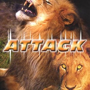 Attack / Lions (DVD)