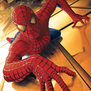 Spiderman 1 (DVD)